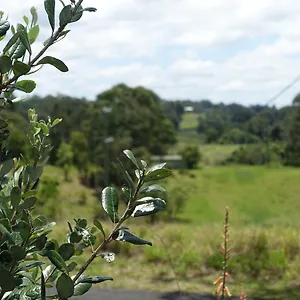 Winston 4*, Palmwoods Australia
